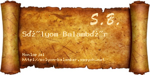 Sólyom Balambér névjegykártya